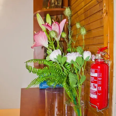 3m Peristil * 斯普利特