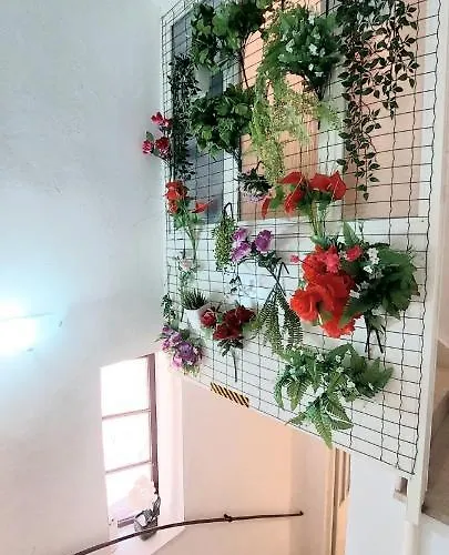 3m Peristil דירה ספליט